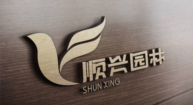 桂东县VI设计：城市品牌蝶变的核心引擎